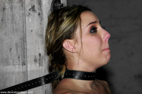 Undressed submissives Alexa Von Tess & Delilah Strong struggle in metal bondage - #113393