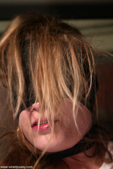 Wired pussy starring Annie Cruz, Ariel X, Harmony, Princess Donna Dolore nude Im - #253618