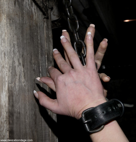 Device Bondage performed by Dee Williams Sex Photos - #267545