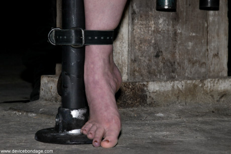 Device Bondage performed by Dee Williams Sex Photos - #267551