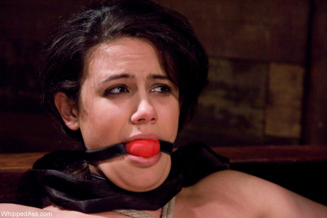 Whipped behind starring Claire Adams, Penny Barber Hot Photos - #140366