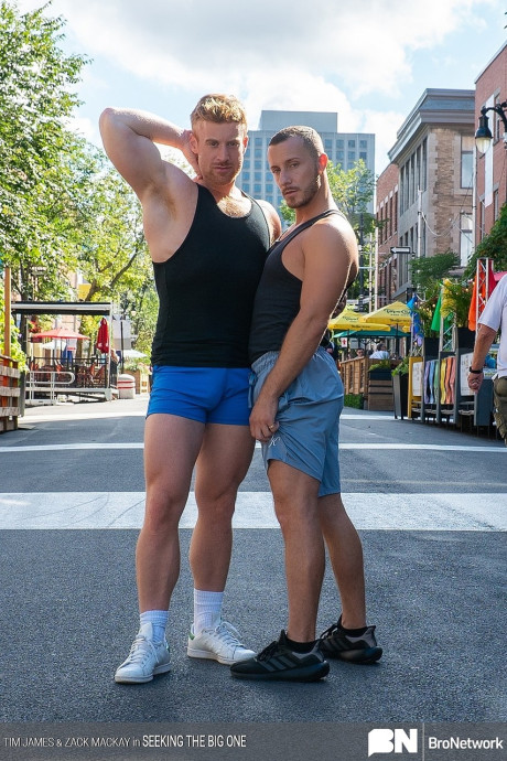 Muscular gay Zack Mackay loves sleazy anal sex with a massive bottom - #29265