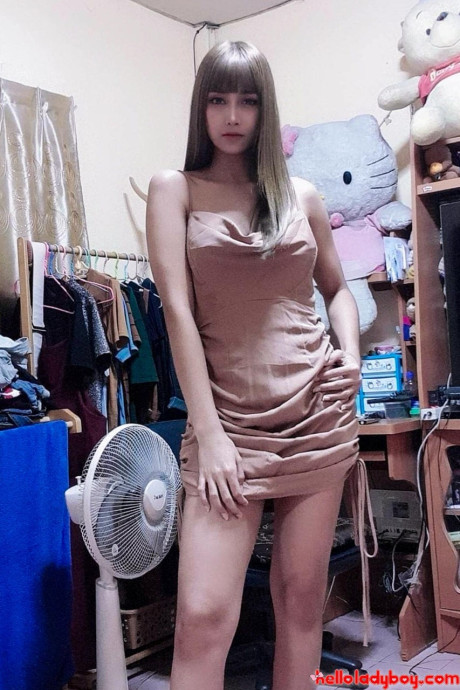 Hello t-girl transsexual Nay - #40810