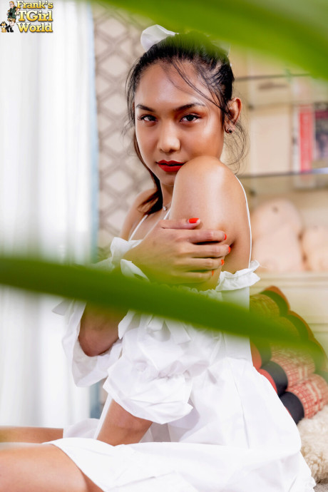 Franks transexual World performed by PIE Hot Porn Pics - #186857