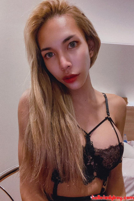 Hello Ladyboy XXX porn pics