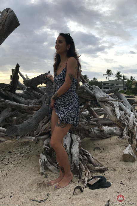 Young Mi Ha Doan flashes her melons and exposes her silky vagina on the beach - #22787