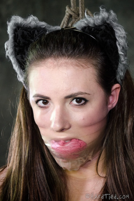 Solo chick GF woman Casey Calvert dons cat ears and behind plug tail in dungeon setting - #26945