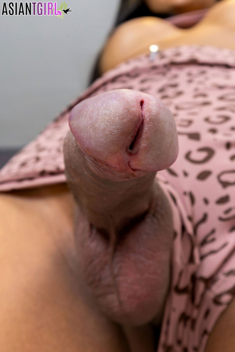 Oriental ladyboy starring Ice Porn Photos - #34284