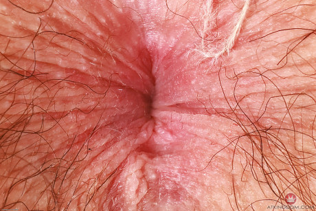 ATK hairy Wookie Princess - #264409