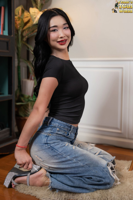 Franks shemale World featuring DeeDee nude Pics - #262519