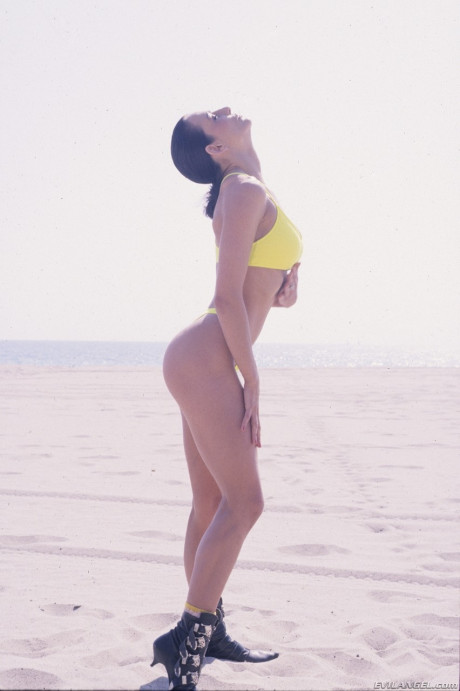 Kinky Cheri Taylor finds a horny biker on the beach for a FFM orgy - #276476