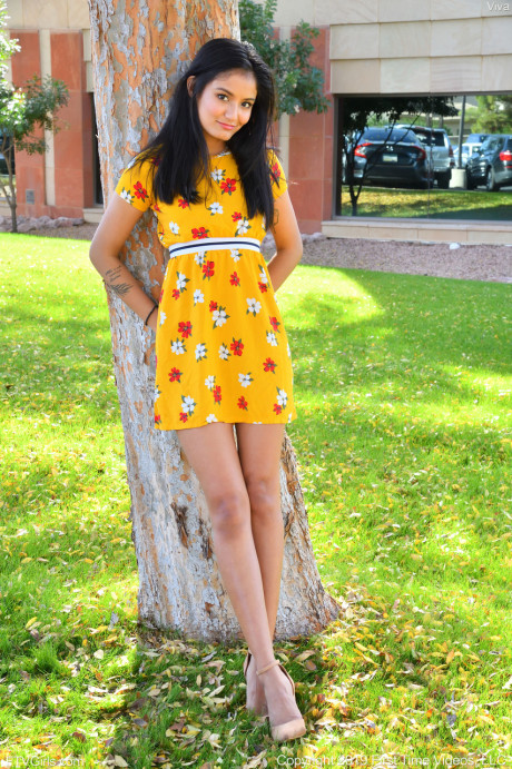 Babe Viva flashes her hot pussy in public while posing in her summer dress - #288296