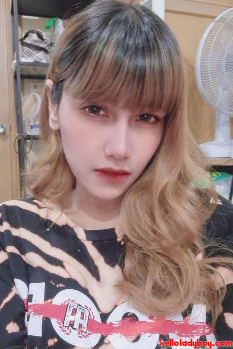 Hello t-girl transsexual Nay