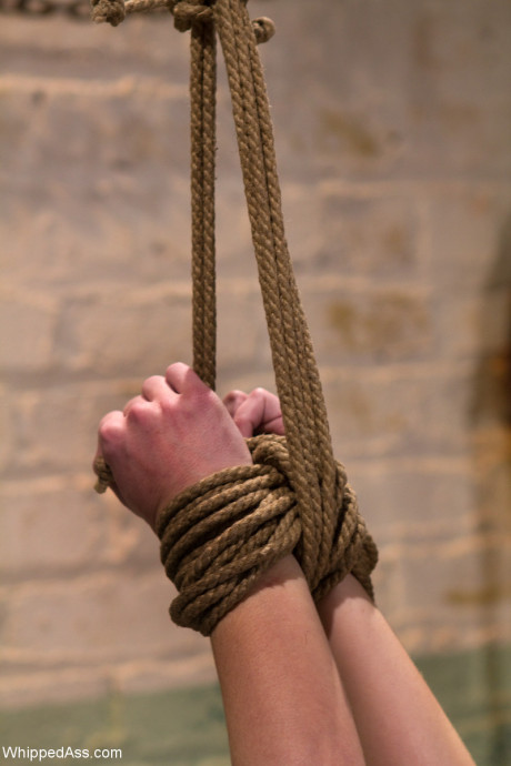 Whipped butt featuring Elise Graves, Felony Porn Gallery - #166990